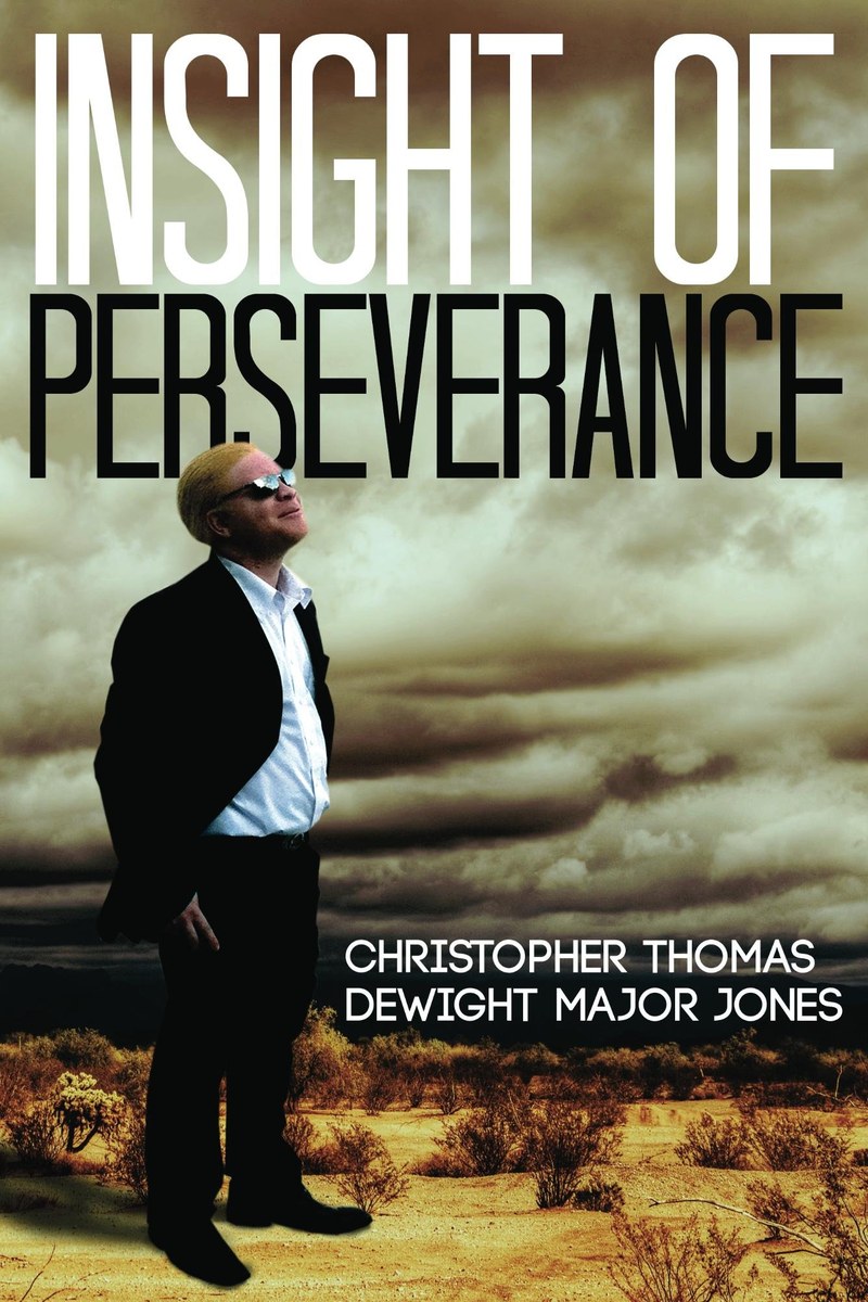 Insight of Perseverance cover